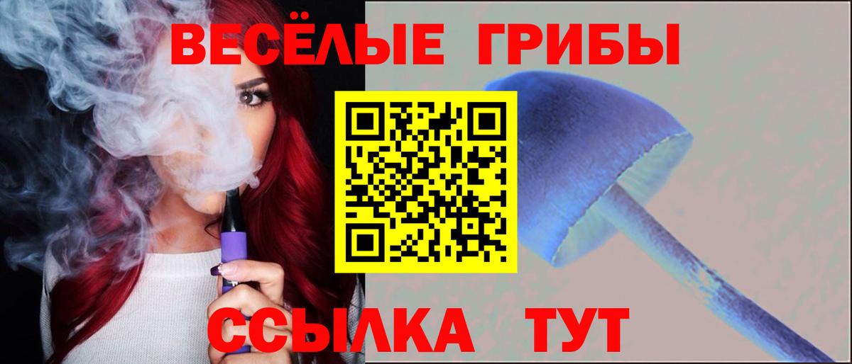 Меф МЯУ МЯУ кристаллы  MDMA  Конопля  Можга  Вход с VPN  Гашиш  Гашиш  A PVP СОЛЬ  