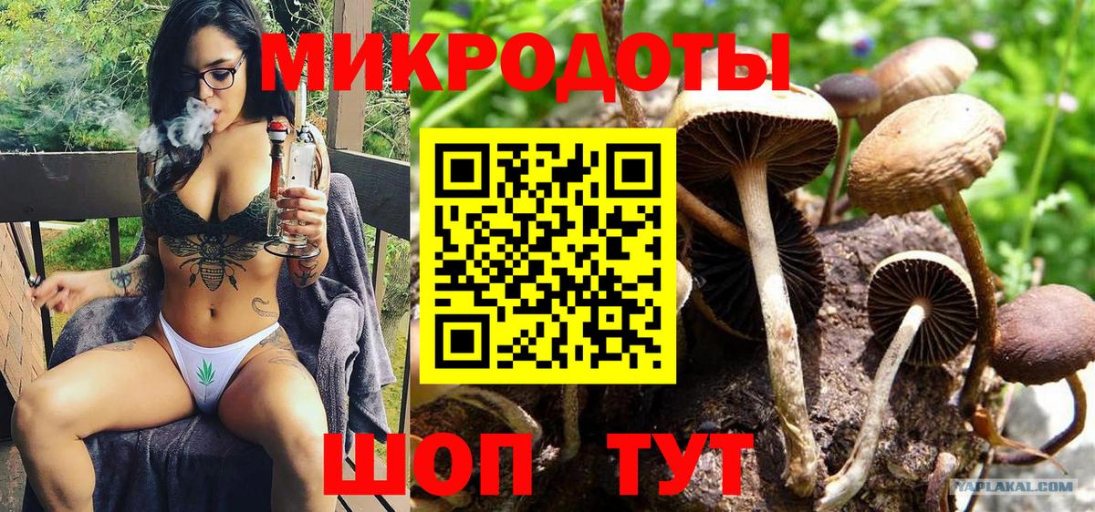 Галлюциногенные грибы GOLDEN TEACHER  Вход с VPN  Можга 