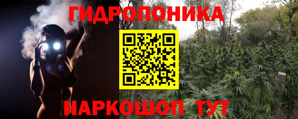 Бошки марихуана Ganja Можга